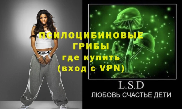 гидропоника Лабытнанги