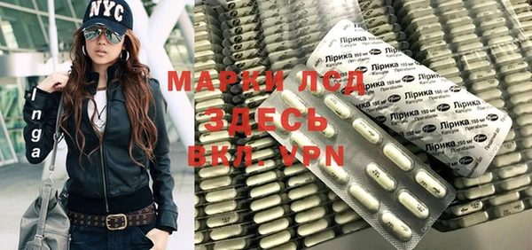 прущие грибы Лагань