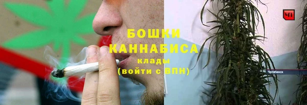 прущие грибы Лагань