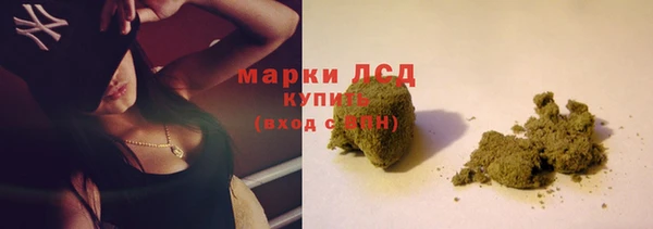 прущие грибы Лагань