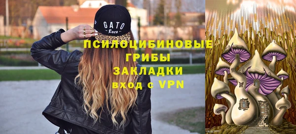 гидропоника Лабытнанги