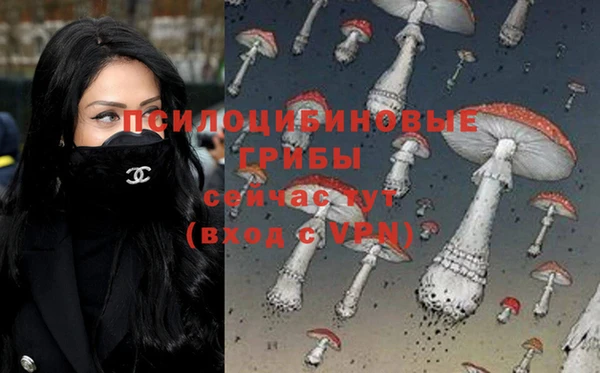 MDMA Premium VHQ Нижний Тагил