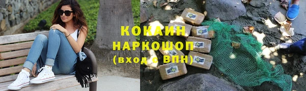 прущие грибы Лагань